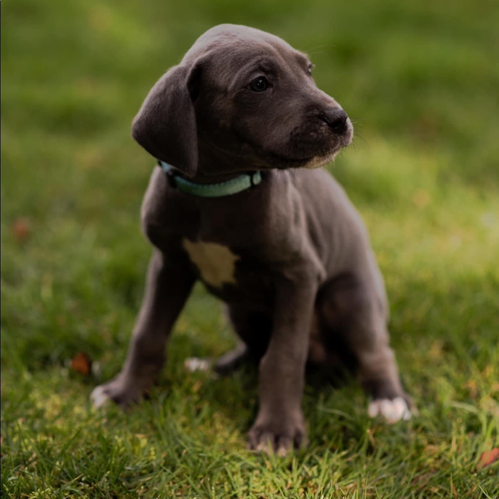 Meet your Posher, Kate